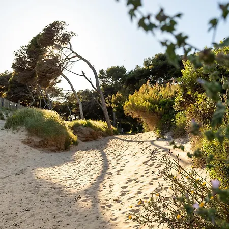 4 Etoiles Vue Sur Les Iles D'or Sea And Mountain Pleasure Vue 180 Vila *