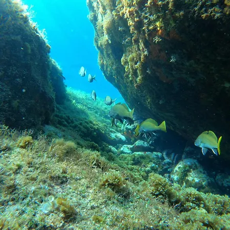 4 Etoiles Vue Sur Les Iles D'or Sea And Mountain Pleasure Vue 180 Villa