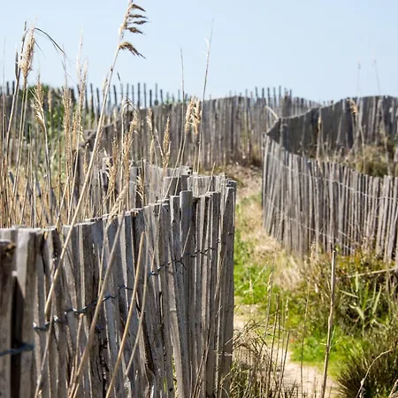 4 Etoiles Vue Sur Les Iles D'or Sea And Mountain Pleasure Vue 180 Villa Carqueiranne
